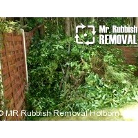 Портфолио  Susie Carpenter 